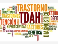 Comprender el TDAH a lo largo de la vida: claves científicas y estrategias psicológicas