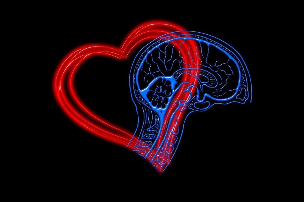 ¿Por qué es tan importante la inteligencia emocional?