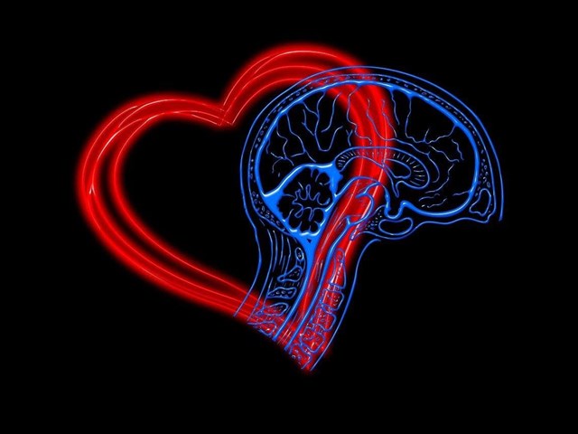 ¿Por qué es tan importante la inteligencia emocional?